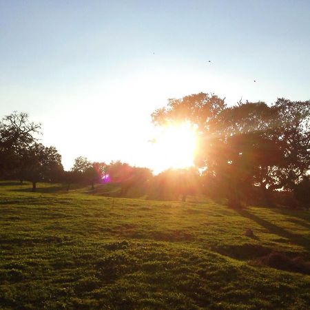 Casa De Campo Alter Pedroso Alter do Chão المظهر الخارجي الصورة