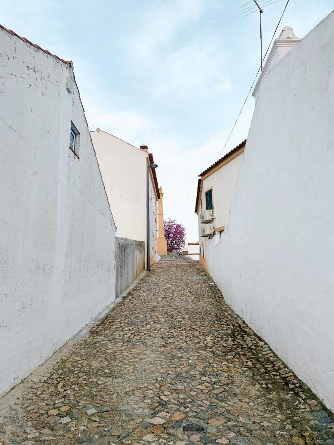 Casa De Campo Alter Pedroso Alter do Chão المظهر الخارجي الصورة